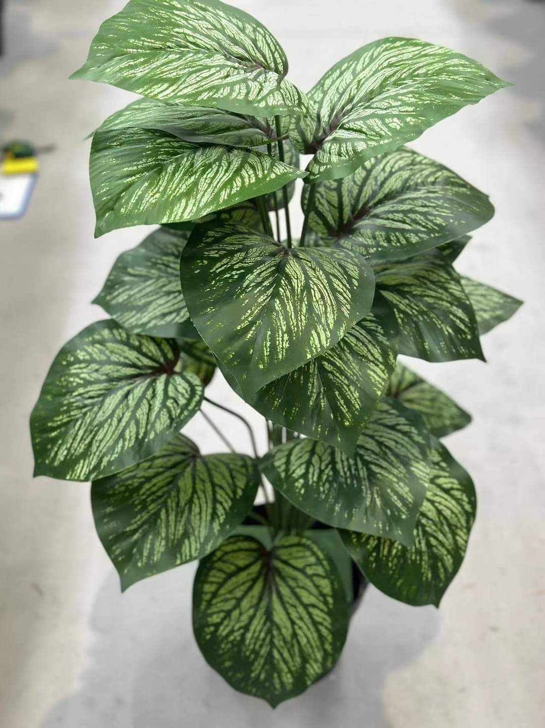 indoor caladium plant Artificial Green Caladium Plant – Packiva Home