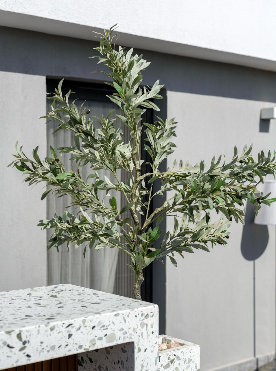 Artificial Olive Plant