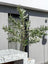 Artificial Olive Plant