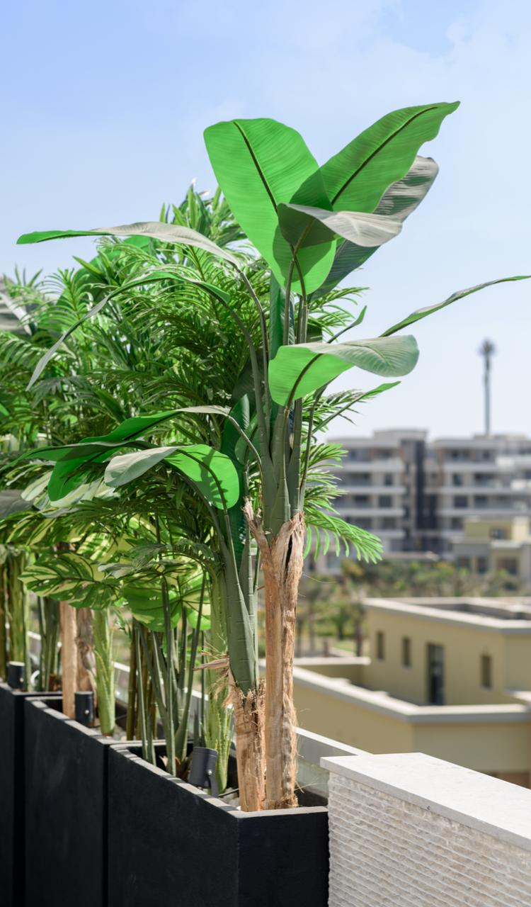 Artificial Cavendish Banana Plant Double