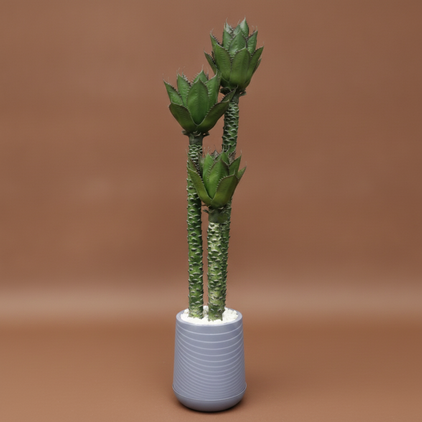 Artificial Agave Plant