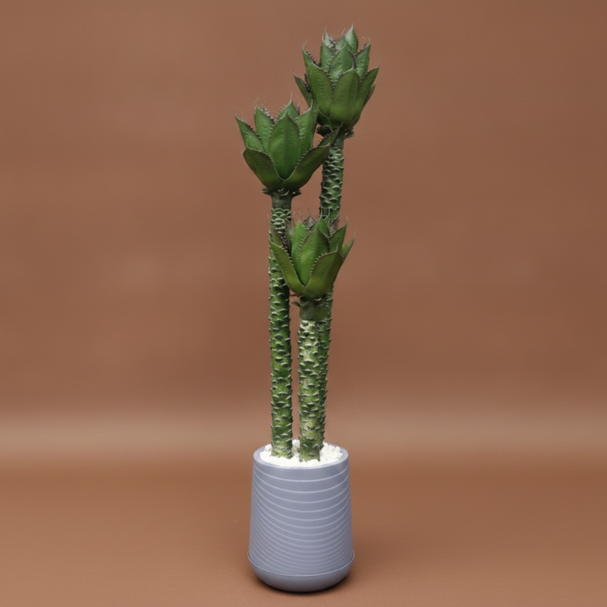 Artificial Agave Plant