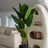 Artificial Cavendish Banana Plant