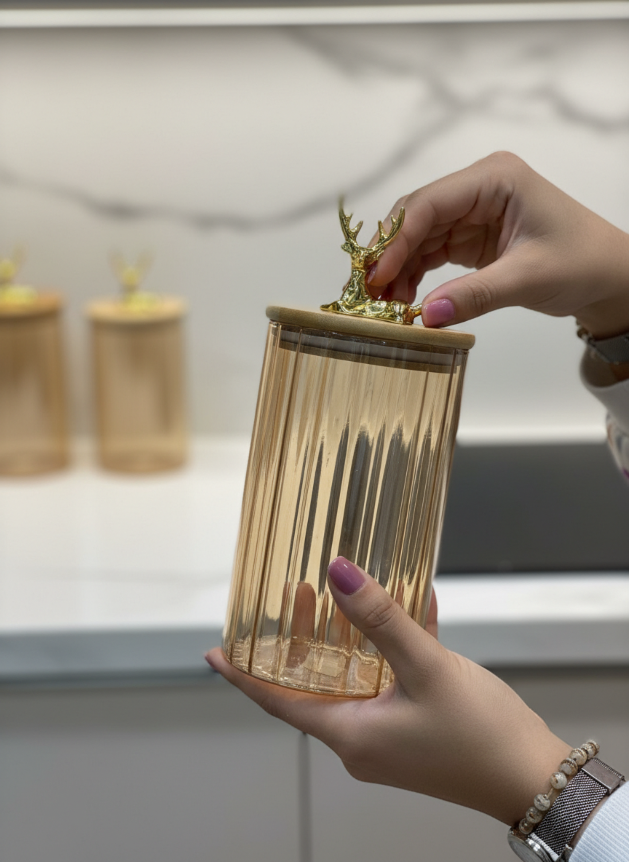 Deer Glass Jars Set - 3 Pcs