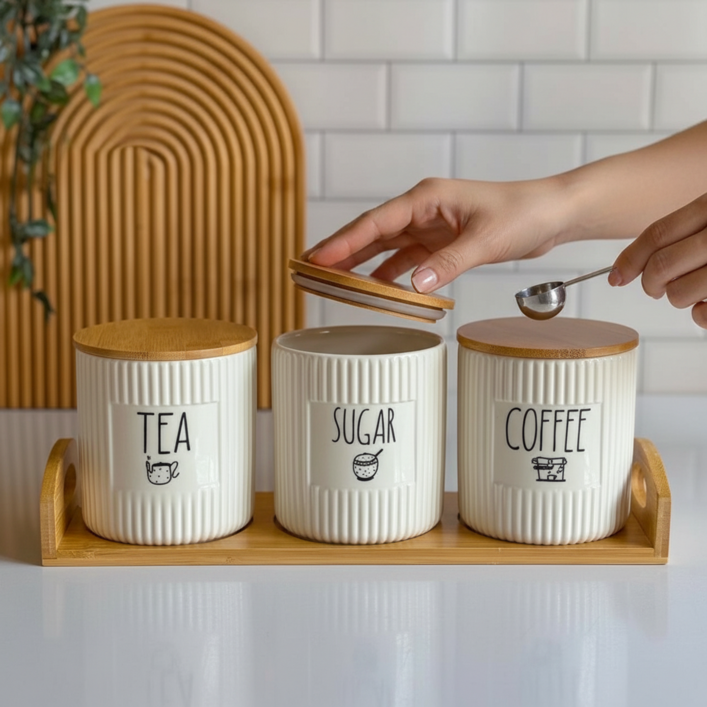 Storage Jar Set