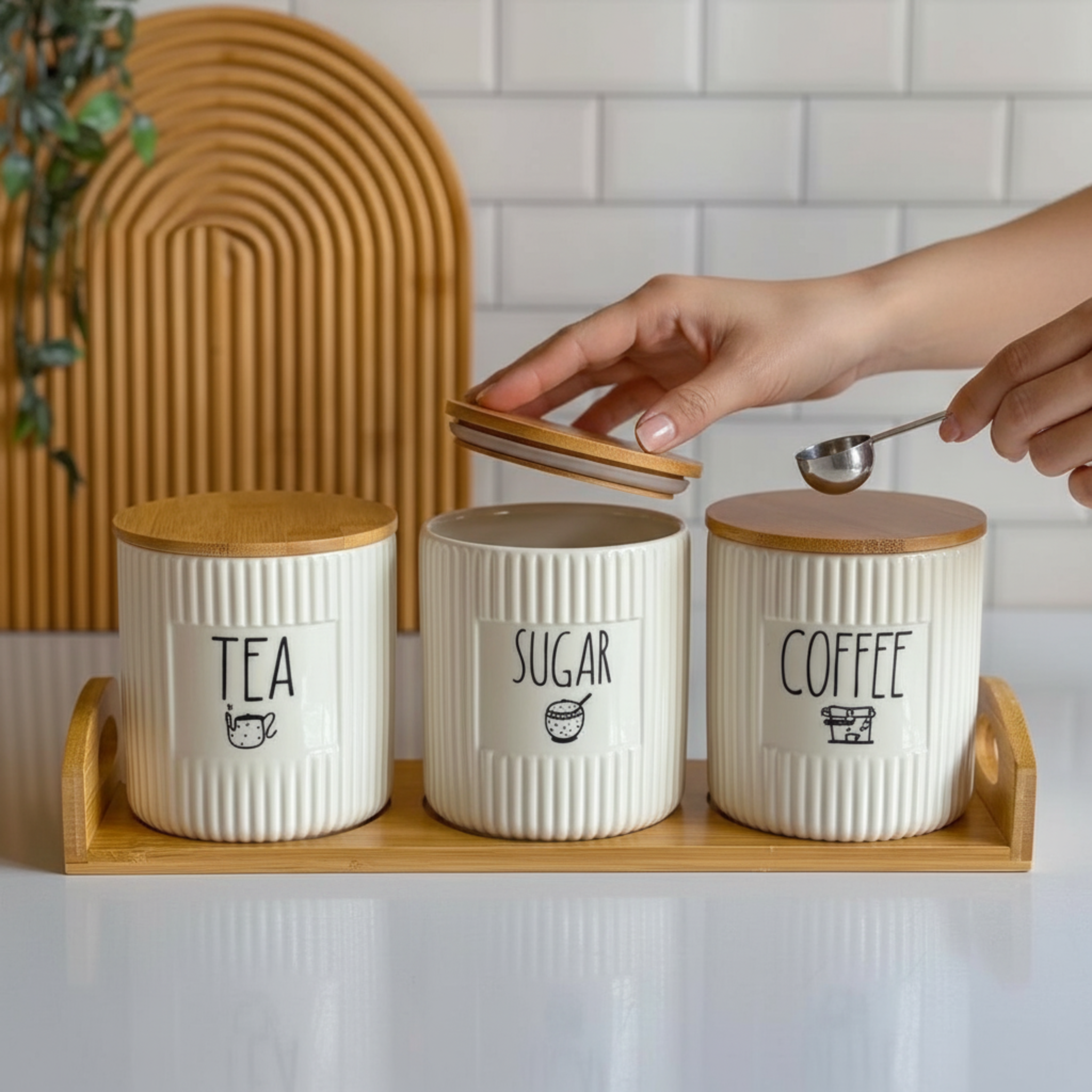 Storage Jar Set